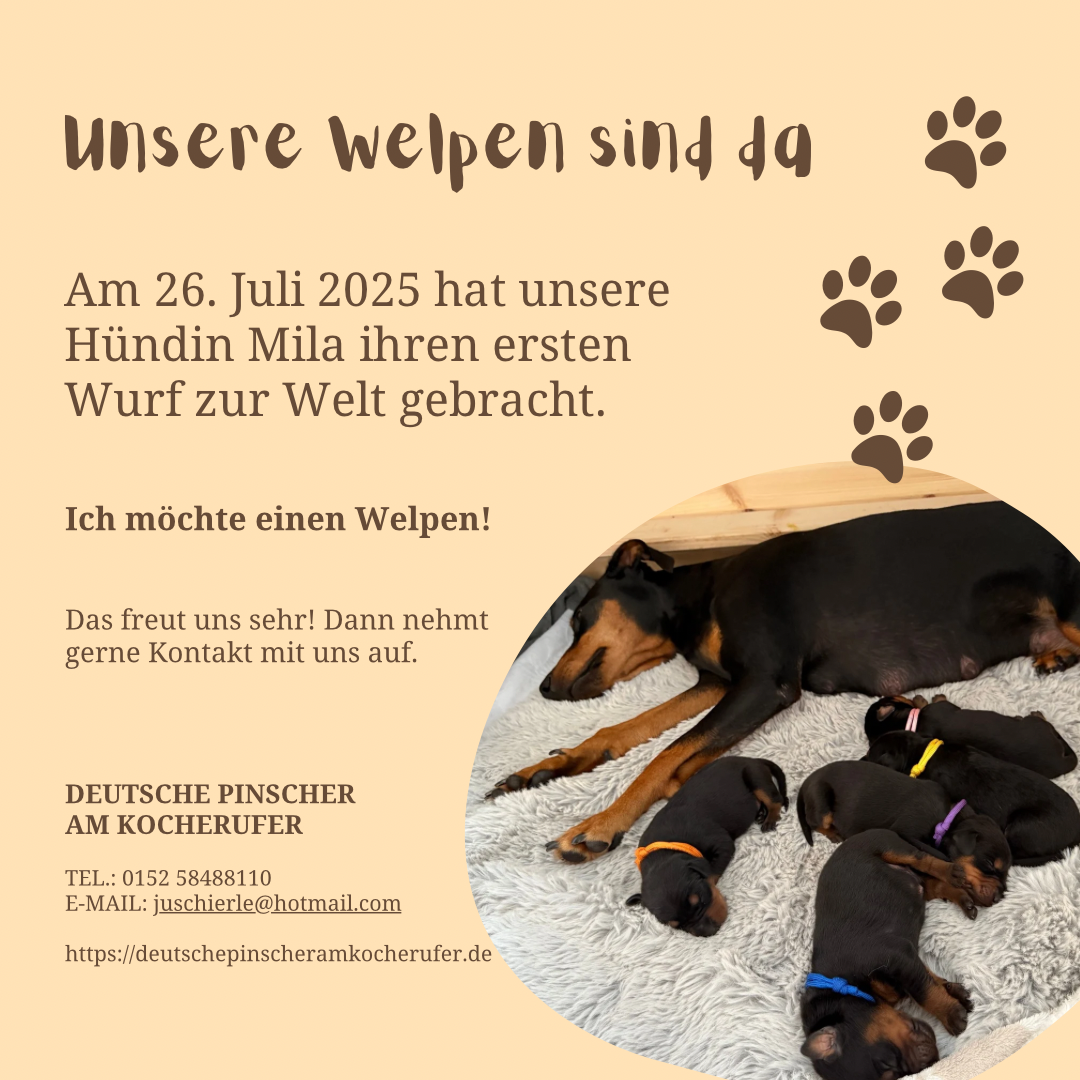 Hellgrün Braun Natürlich Verspielt Hunde Welpen Tipps Instagram Post – 1 Welpen